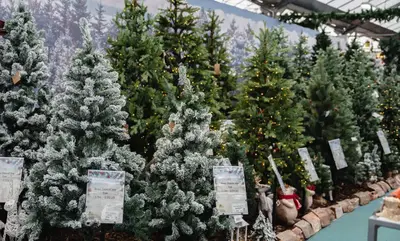 Christmas impression 2025