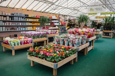 Garden Centre Photos