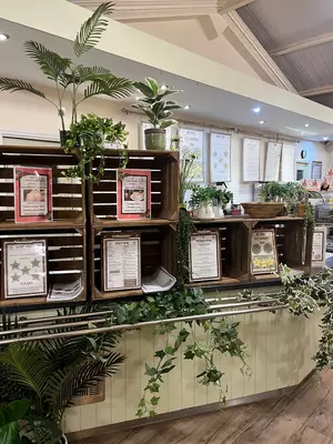 Greenhouse Kitchen Autumn