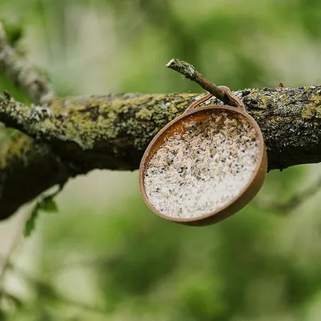 Gardman Coco-Not 8 Pack + 2 XF - image 4