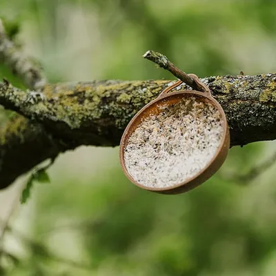 Gardman Coco-Not 8 Pack + 2 XF - image 4