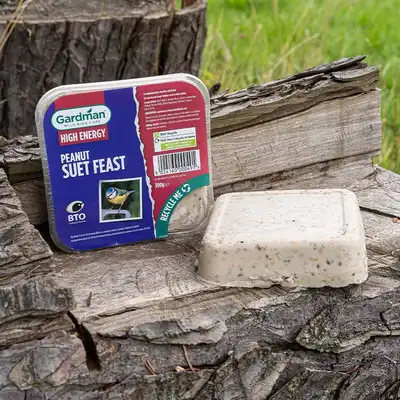 Gardman Peanut Suet Feast - image 2