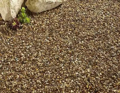 Kelkay Autumn Gold - image 3