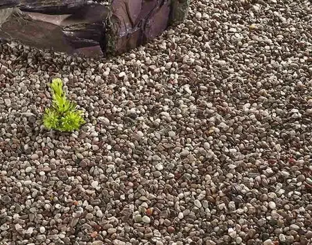 Kelkay Classic Pink - image 2