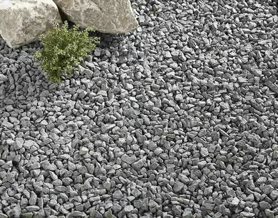 Kelkay Forest Green - image 2