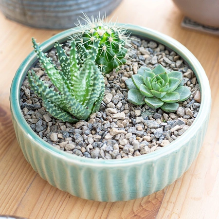 Kelkay Horticultural Alpine Grit Handy Pack - image 3