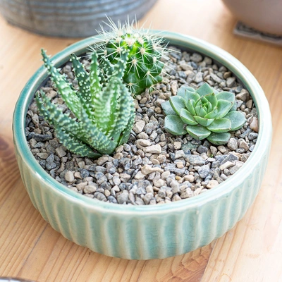 Kelkay Horticultural Alpine Grit Handy Pack - image 3