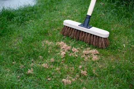 Kelkay Horticultural Sharp Sand - image 2