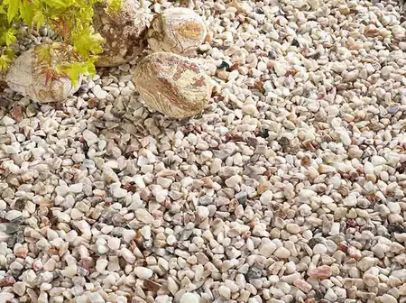 Kelkay Italian Rose - image 2