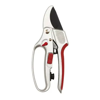 Kent & Stowe 2 in 1 Ratchet Secateurs
