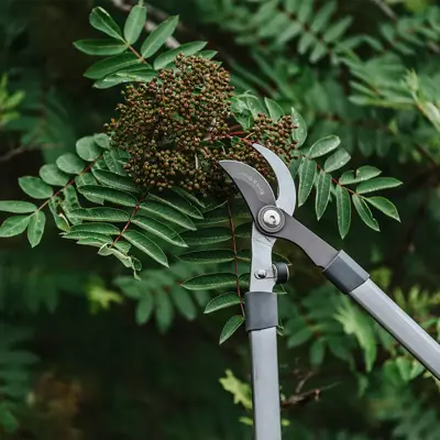 Kent & Stowe Fixed Handle Bypass Lopper - image 2