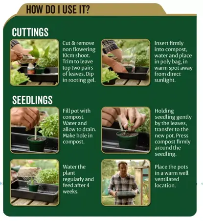 Westland John Innes Peat Free No.1 Young Plant Compost - image 3