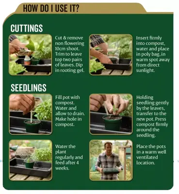 Westland John Innes Peat Free No.1 Young Plant Compost - image 3